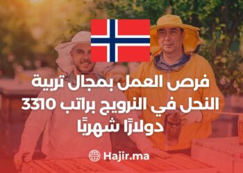 فرص العمل بمجال تربية النحل في النرويج براتب 3310 دولارًا شهريًا