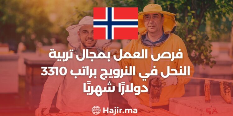 فرص العمل بمجال تربية النحل في النرويج براتب 3310 دولارًا شهريًا