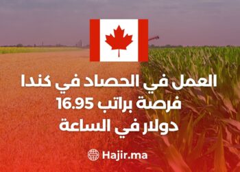 العمل في الحصاد في كندا فرصة براتب 16.95 دولار في الساعة