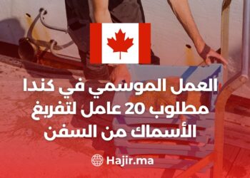 العمل الموسمي في كندا : مطلوب 20 عامل لتفريغ الأسماك من السفن براتب 16 دولار في الساعة