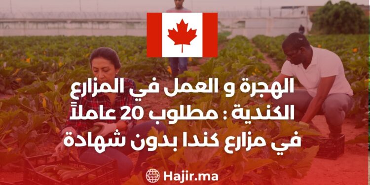 الهجرة و العمل في المزارع الكندية : مطلوب 20 عاملاً في مزارع كندا بدون شهادة