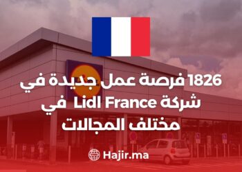 Lidl France offre plus de 1 826 Opportunités d'emploi dans divers domaines