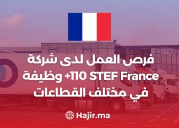 Opportunités d'emploi chez STEF France - (+110) postes dans divers secteurs