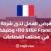 Opportunités d'emploi chez STEF France - (+110) postes dans divers secteurs