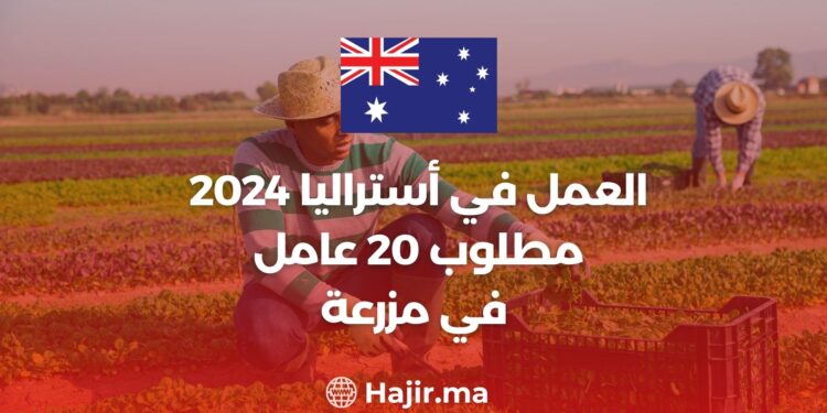 العمل في أستراليا 2024: مطلوب 20 عامل في مزرعة