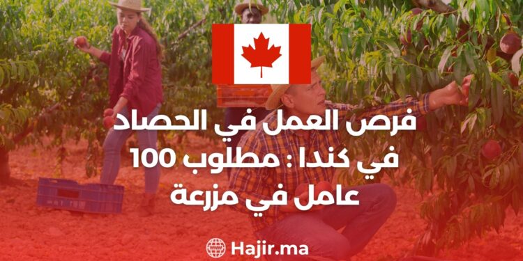 فرص العمل في الحصاد في كندا : مطلوب 100 عامل في مزرعة براتب 17 دولار في الساعة