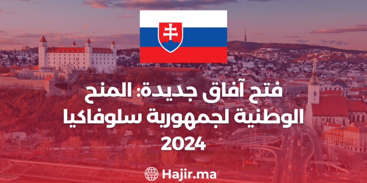 طلاب دوليون يتعلمون في قاعة محاضرات حديثة بسلوفاكيا، تحت رعاية المنح الوطنية لجمهورية سلوفاكيا 2024.