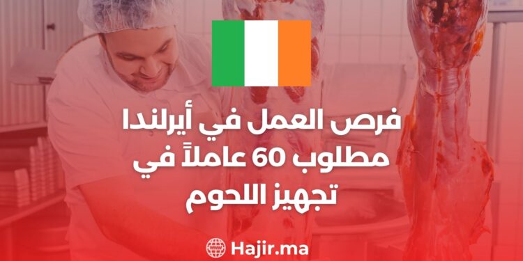 فرص العمل في أيرلندا : مطلوب 60 عاملاً في تجهيز اللحوم