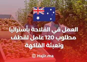 فرص العمل في الفلاحة بأستراليا بدون خبرة : مطلوب 120 عامل لقطف وتعبئة الفاكهة