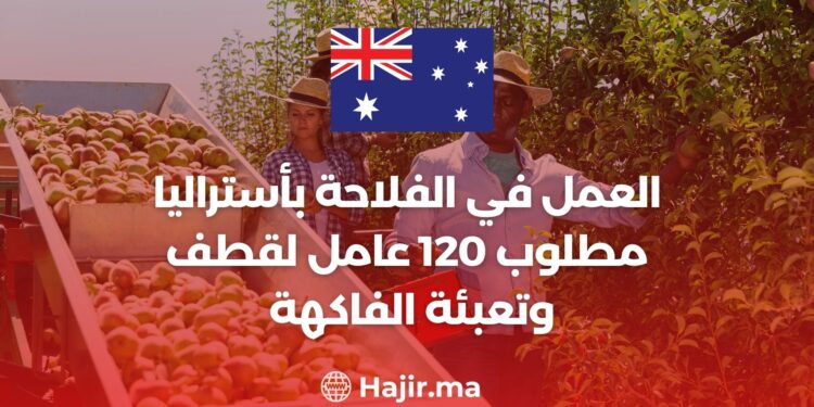 فرص العمل في الفلاحة بأستراليا بدون خبرة : مطلوب 120 عامل لقطف وتعبئة الفاكهة