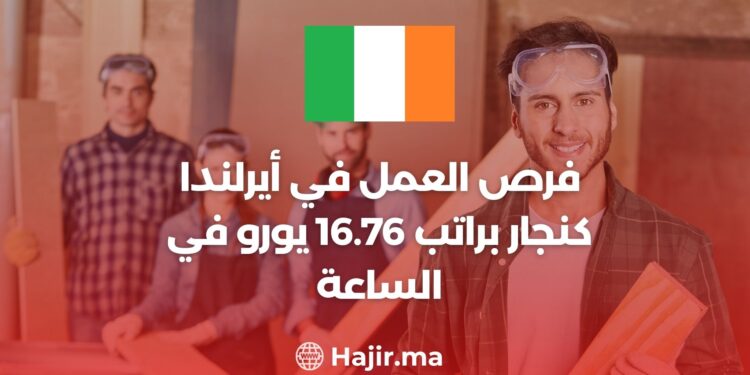 فرص العمل في أيرلندا كنجار براتب 16.76 يورو في الساعة