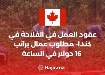 عقود العمل في الفلاحة في كندا- مطلوب عمال براتب 16 دولار في الساعة