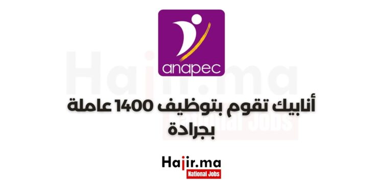 أنابيك تقوم بتوظيف 1400 عاملة في الوحدة المتخصصة في معالجة المنتجات البحرية بجرادة