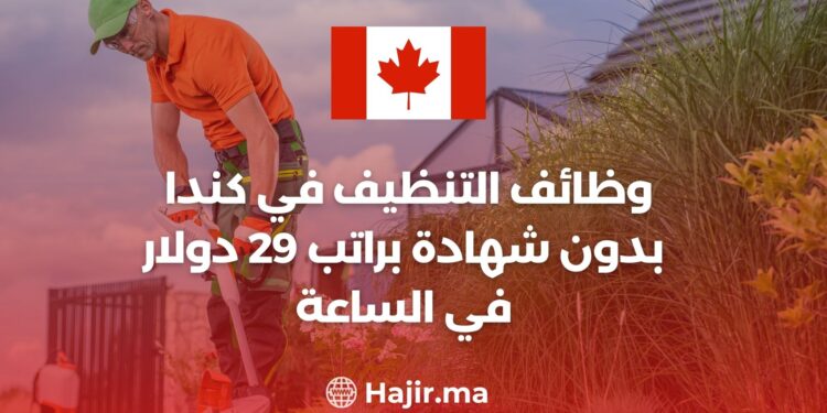 وظائف التنظيف في كندا بدون شهادة براتب 29 دولار في الساعة