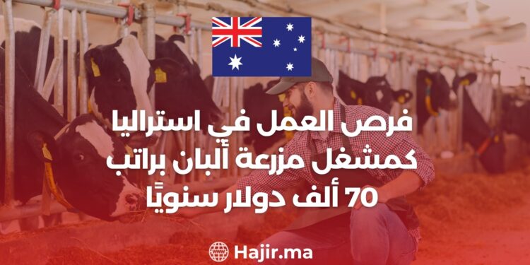 فرص العمل في استراليا كمشغل مزرعة ألبان براتب 70 ألف دولار سنويًا