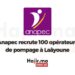 Anapec recrute 100 opérateurs de pompage à Laâyoune