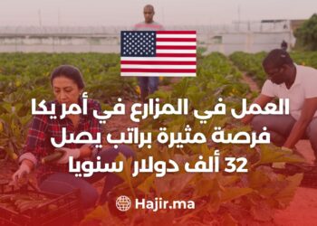 العمل في المزارع في أمريكا فرصة مثيرة براتب يصل 32 ألف دولار سنويا