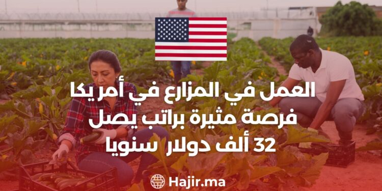 العمل في المزارع في أمريكا فرصة مثيرة براتب يصل 32 ألف دولار سنويا