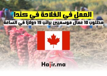 فرص العمل في الفلاحة في كندا مطلوب 10 عمال موسميين براتب 19 دولارًا في الساعة