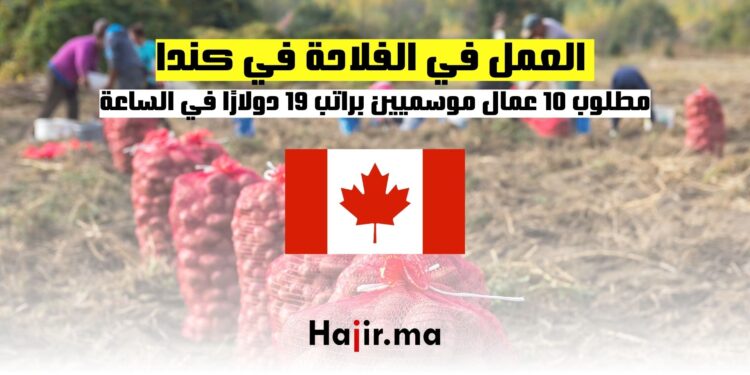 فرص العمل في الفلاحة في كندا مطلوب 10 عمال موسميين براتب 19 دولارًا في الساعة
