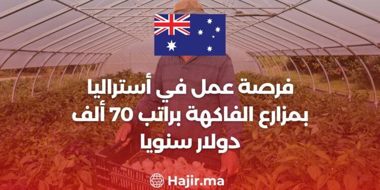 فرصة عمل في أستراليا بمزارع الفاكهة براتب 70 ألف دولار سنويا