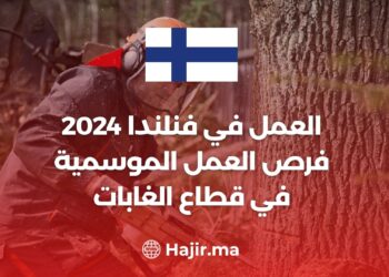 العمل في فنلندا 2024 - فرص العمل الموسمية في قطاع الغابات