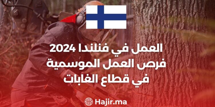 العمل في فنلندا 2024 - فرص العمل الموسمية في قطاع الغابات