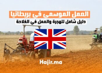 فرص العمل الموسمي في الفلاحة في بريطانيا : دليل شامل