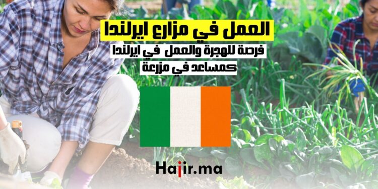 العمل كمساعد مزرعة في ايرلندا