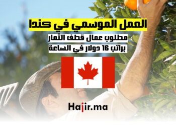 العمل الموسمي في كندا : مطلوب عمال قطف الثمار براتب 16 دولار في الساعة