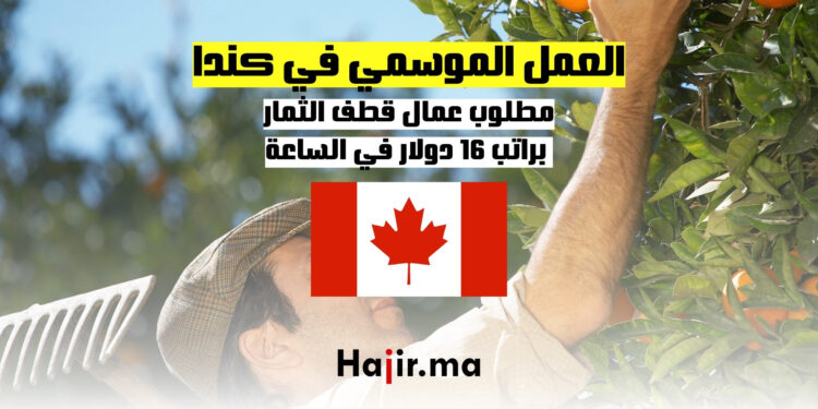 العمل الموسمي في كندا : مطلوب عمال قطف الثمار براتب 16 دولار في الساعة