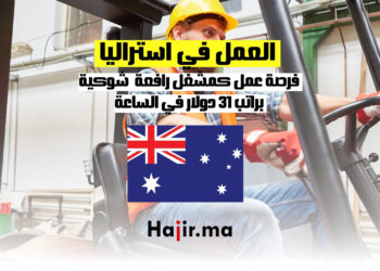 العمل كمشغل رافعة شوكية
