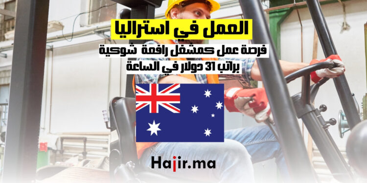 العمل كمشغل رافعة شوكية