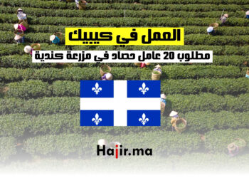 العمل في الفلاحة في كيبيك : مطلوب 20 عامل حصاد في مزرعة كندية