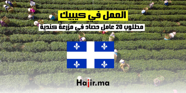 العمل في الفلاحة في كيبيك : مطلوب 20 عامل حصاد في مزرعة كندية