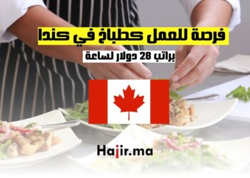 العمل كطباخ في كندا