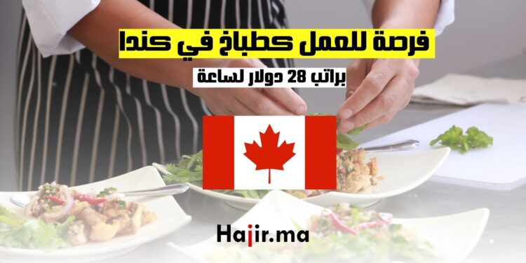 العمل كطباخ في كندا