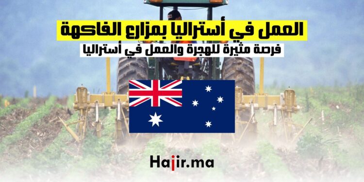 العمل في مزارع الفاكهة : فرصة مثيرة للهجرة والعمل في أستراليا
