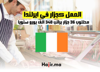 فرص العمل كجزار في ايرلندا براتب 340 الف يورو سنويا
