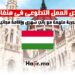 _فرص العمل التطوعي في هنغاريا