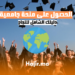 كيف تحصل على منحة جامعية دليلك الشامل للنجاح