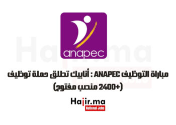مباراة التوظيف ANAPEC : أنابيك تطلق حملة توظيف (+2400 منصب مفتوح)
