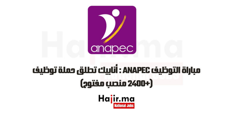 مباراة التوظيف ANAPEC : أنابيك تطلق حملة توظيف (+2400 منصب مفتوح)