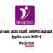 مباراة التوظيف ANAPEC : أنابيك تطلق حملة توظيف (+2400 منصب مفتوح)