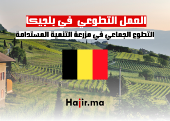‫التطوع الجماعي في مزرعة التنمية المستدامة في بلجيكا‬