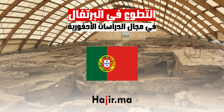 التطوع في البرتغال في مجال الدراسات الأحفورية