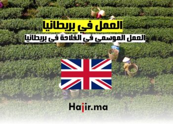 العمل الموسمي في الفلاحة في بريطانيا