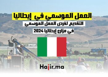العمل الموسمي في مزارع إيطاليا 2024 : كيفية التقديم