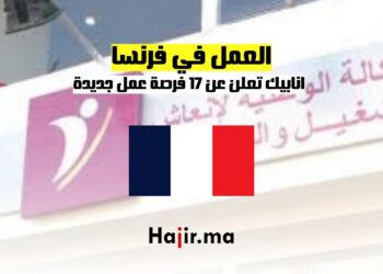 اناببيك تعلن عن 17 فرصة عمل جديدة في