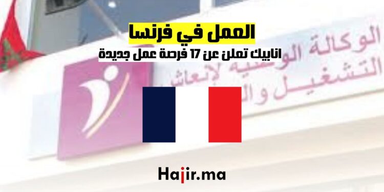 اناببيك تعلن عن 17 فرصة عمل جديدة في